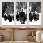 62434-MGV-CV-36X24-Bison Herd in Snow Wall Art Canvas Print | Rustic Western Bison Wall Art for Decor for Living Room, Office, and Farmhouse Decor | Framed