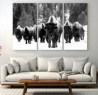 62434-MGV-CV-48X32-3P-Bison Herd in Snow Wall Art Canvas Print | Rustic Western Bison Wall Art for Decor for Living Room, Office, and Farmhouse Decor | Framed