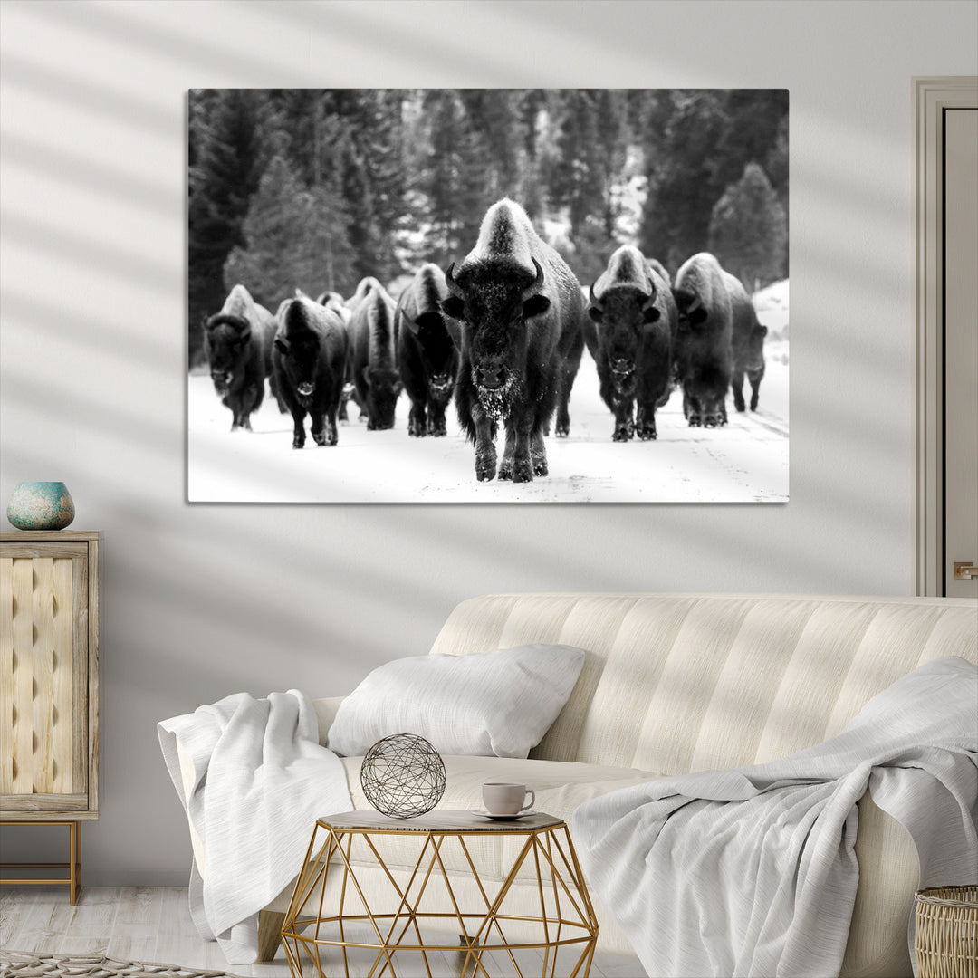 Bison Herd in Snow Wall Art Canvas Print | Rustic Western Bison Wall Art for Decor for Living Room, Office, and Farmhouse Decor | Framed