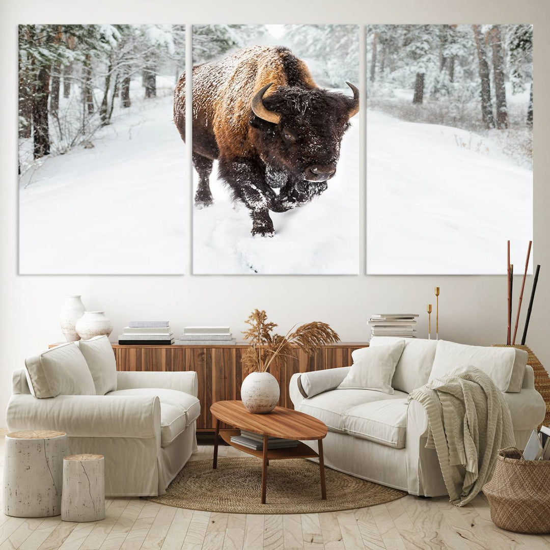 Bison Wall Art Canvas Print For Farmhouse, Animal Canvas Print, Wild Animal Wall Art
