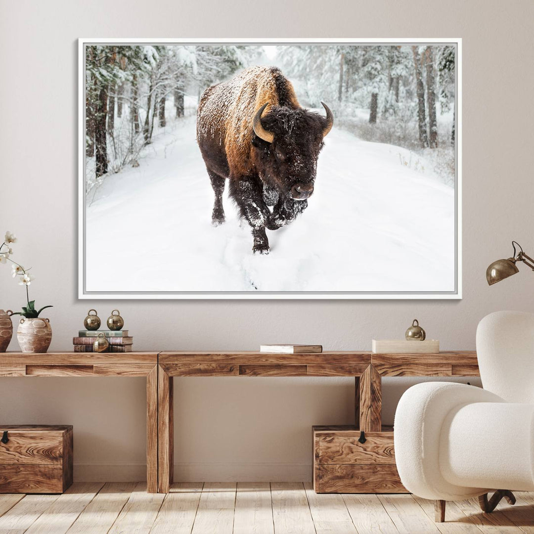 10109-MGV-FC-36X24_White-Bison Wall Art Canvas Print For Farmhouse, Animal Canvas Print, Wild Animal Wall Art