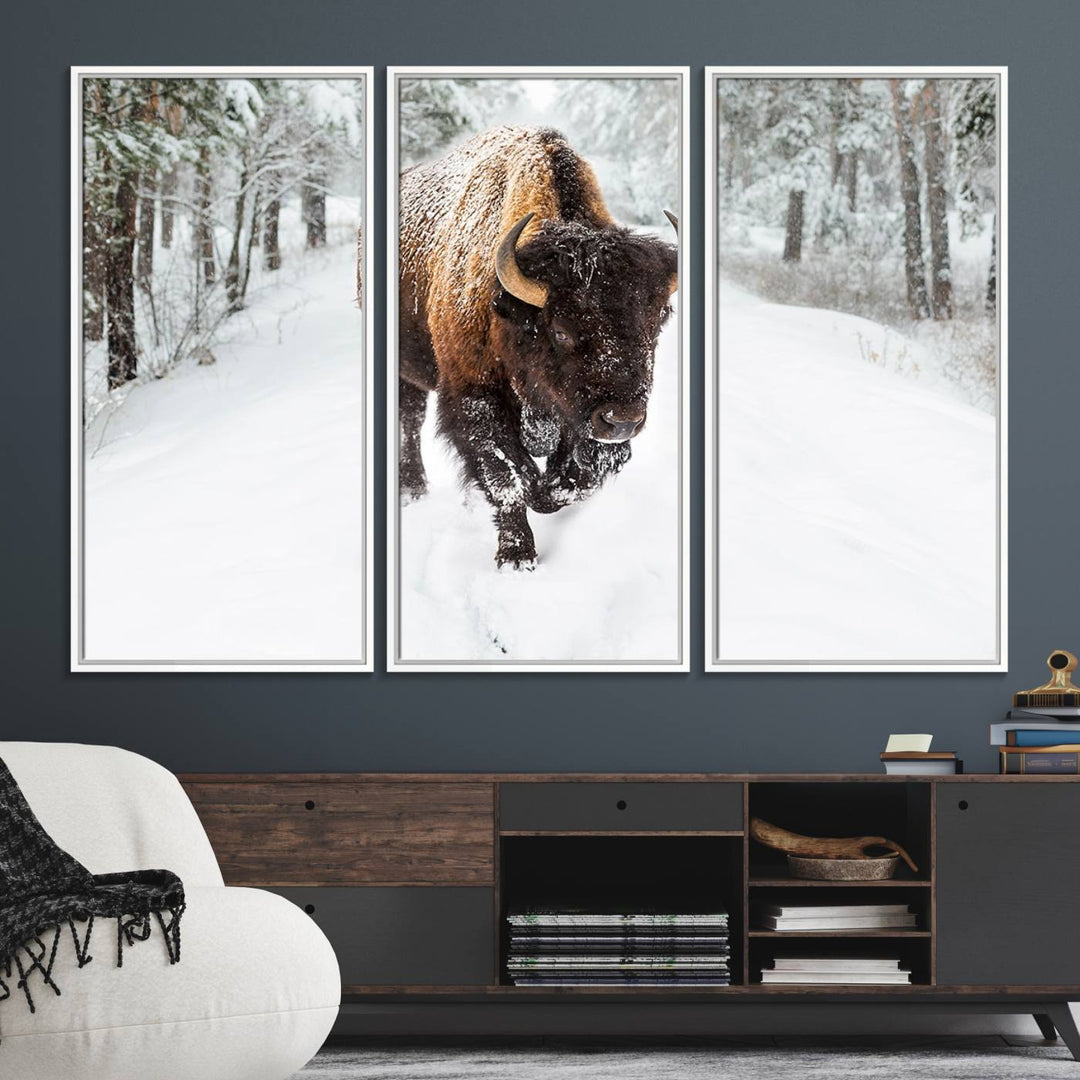 10109-MGV-FC-48X32-3P_White-Bison Wall Art Canvas Print For Farmhouse, Animal Canvas Print, Wild Animal Wall Art