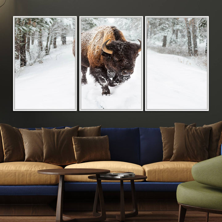 10109-MGV-FC-60X30-3P_White-Bison Wall Art Canvas Print For Farmhouse, Animal Canvas Print, Wild Animal Wall Art