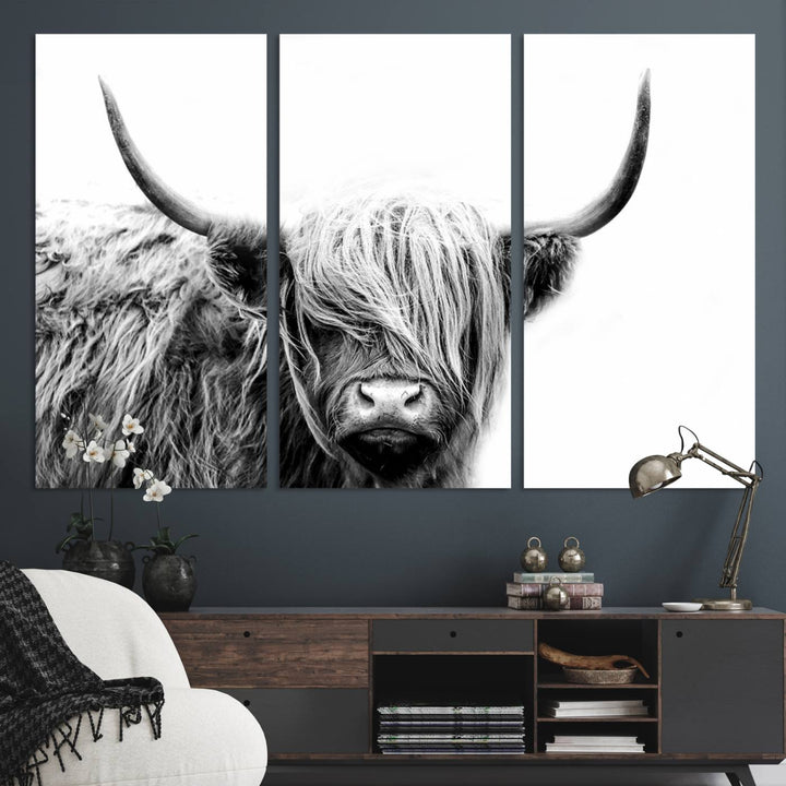 Black White Scottish Highland Cow Cattle Art Print Farmhouse Wall Art Canvas Print