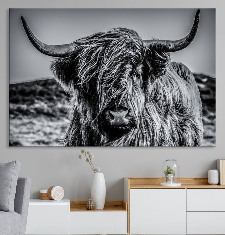 Black and White Cow Wall Art Canvas Print Highland Cattle Canvas Art