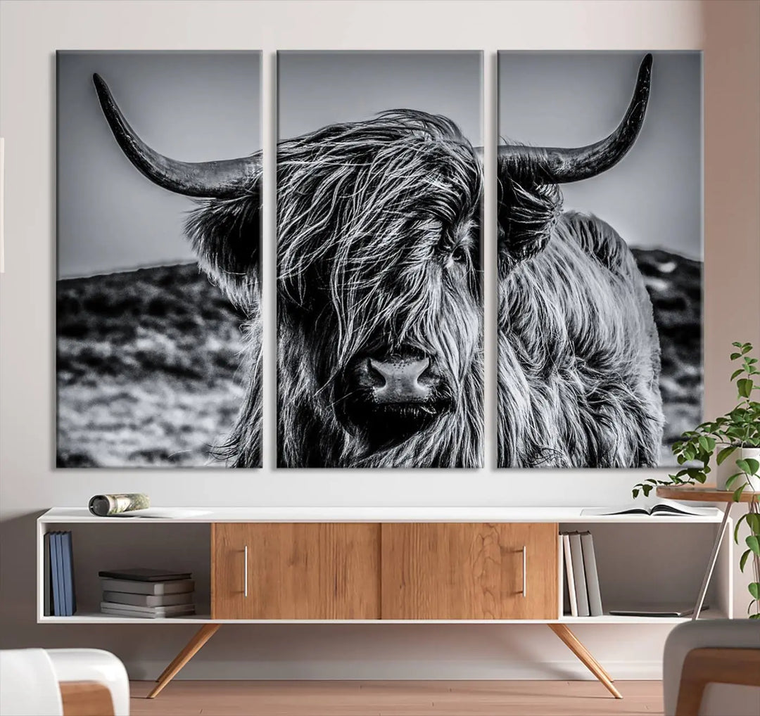 A museum-quality triptych of the Black and White Cow Wall Art Canvas Print Highland Cattle Canvas Art graces the wall, with each canvas featuring a UV-protective coating to preserve its vibrant details.