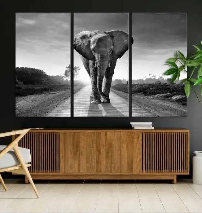 Black and White Elephant Wall Art Canvas Print is displayed as a triptych on museum-quality canvases, elegantly showcased on a dark wall. Each piece is ready to hang and features a durable UV-protective coating.