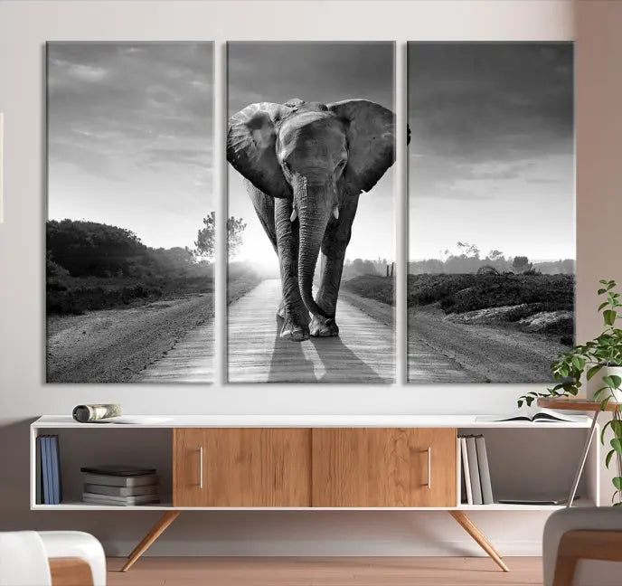 Black and White Elephant Wall Art Canvas Print is displayed as a triptych on museum-quality canvases, elegantly showcased on a dark wall. Each piece is ready to hang and features a durable UV-protective coating.