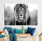 Edit-Images-Black and White Lion Canvas Wall Art Animal Print