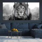 Edit-Images-Black and White Lion Canvas Wall Art Animal Print
