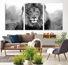 Edit-Images-Black and White Lion Canvas Wall Art Animal Print