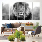 Edit-Images-Black and White Lion Canvas Wall Art Animal Print