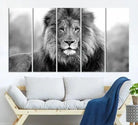 Edit-Images-Black and White Lion Canvas Wall Art Animal Print