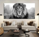 Edit-Images-Black and White Lion Canvas Wall Art Animal Print