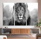Edit-Images-Black and White Lion Canvas Wall Art Animal Print