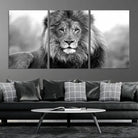 Edit-Images-Black and White Lion Canvas Wall Art Animal Print