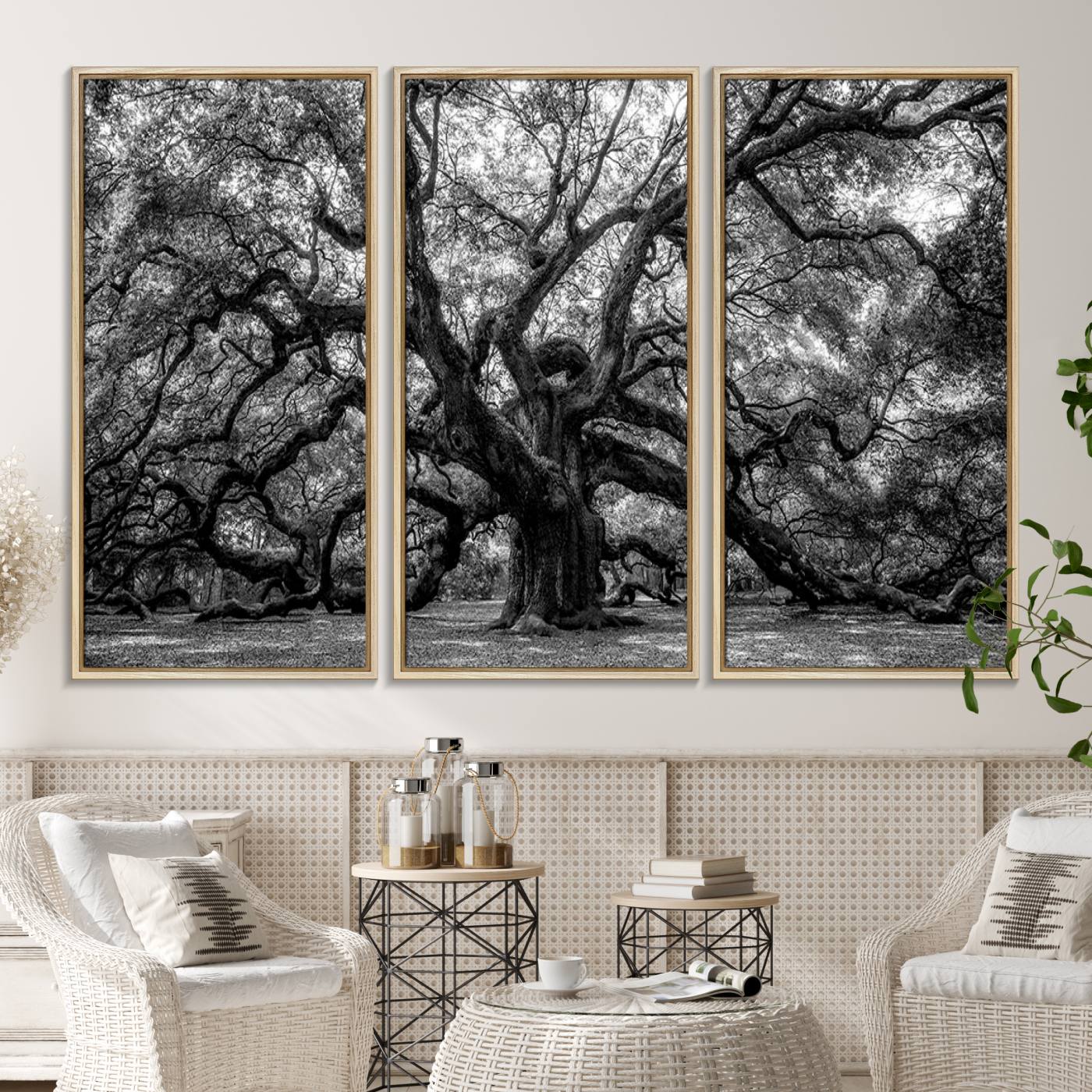 132944706-MGV-CV-36X24-Black and White Old Angel Oak Tree Wall Art Canvas Print