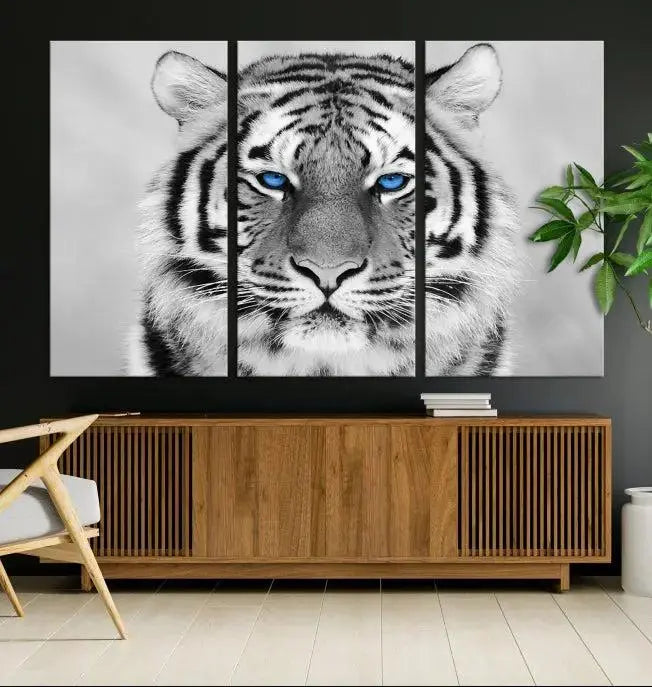 A piece from the Black and White Tiger Wall Art Animal Canvas Print collection, showcasing a white tiger with blue eyes on premium canvas, is displayed.