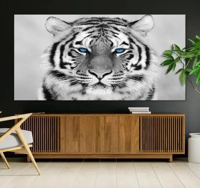 A piece from the Black and White Tiger Wall Art Animal Canvas Print collection, showcasing a white tiger with blue eyes on premium canvas, is displayed.