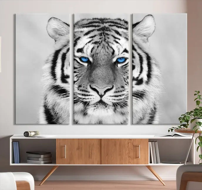 A piece from the Black and White Tiger Wall Art Animal Canvas Print collection, showcasing a white tiger with blue eyes on premium canvas, is displayed.