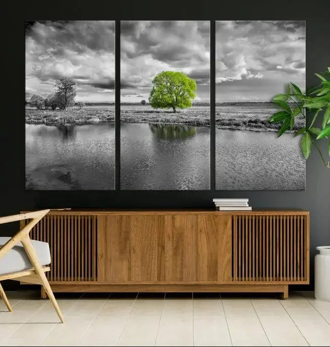 The Black and White Tree Landscape Painting Wall Art Tree Canvas Print is a stunning triptych that features a monochrome landscape punctuated with a single vivid green tree. The pieces are printed on museum-quality canvases, offering both durability and style, and are complemented by a UV-protective coating for added longevity.