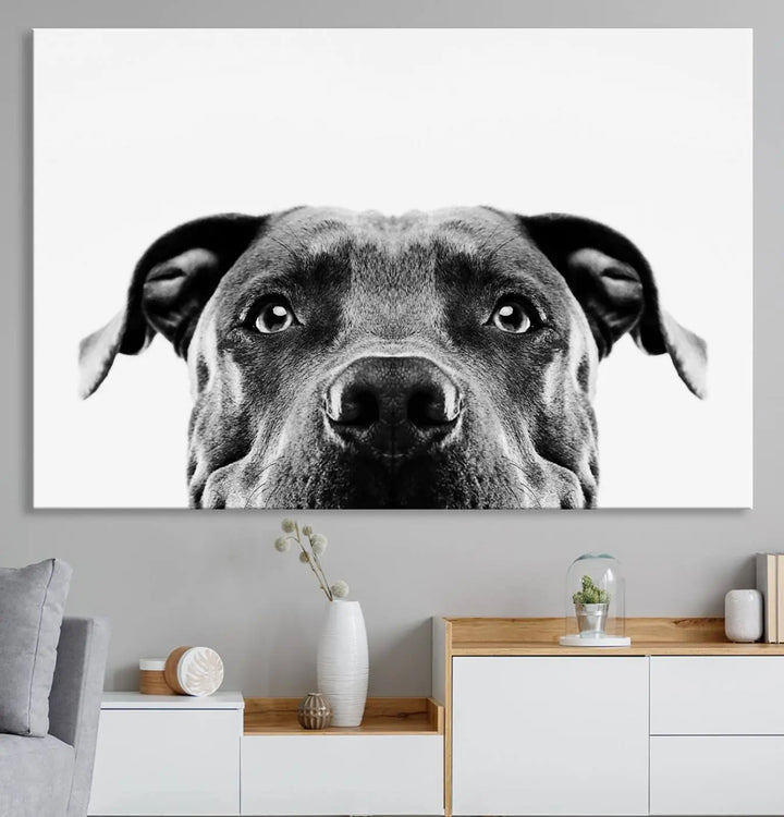 The "Black and White Pit Bull Dog Wall Art Canvas Print" elegantly adorns the living room, infusing character and charm into the contemporary setting. This captivating piece is perfect for dog lovers.