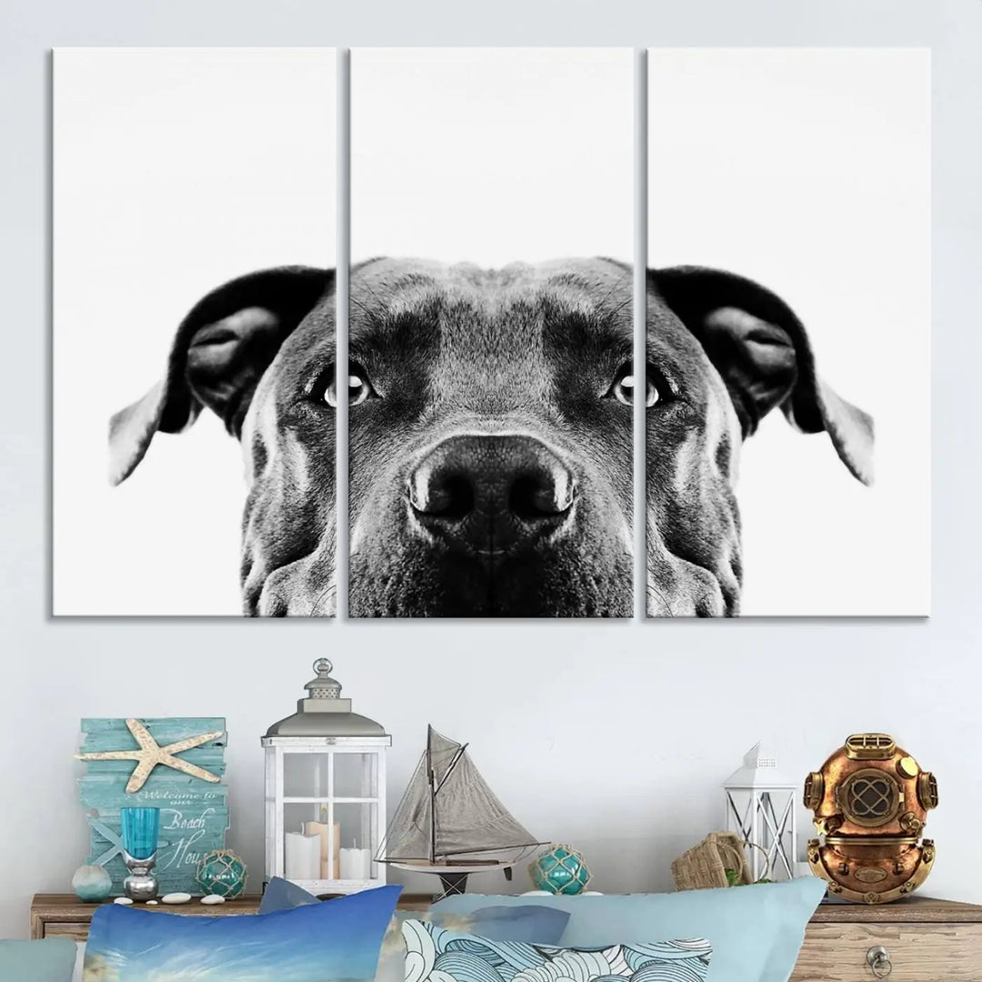 The "Black and White Pit Bull Dog Wall Art Canvas Print" elegantly adorns the living room, infusing character and charm into the contemporary setting. This captivating piece is perfect for dog lovers.