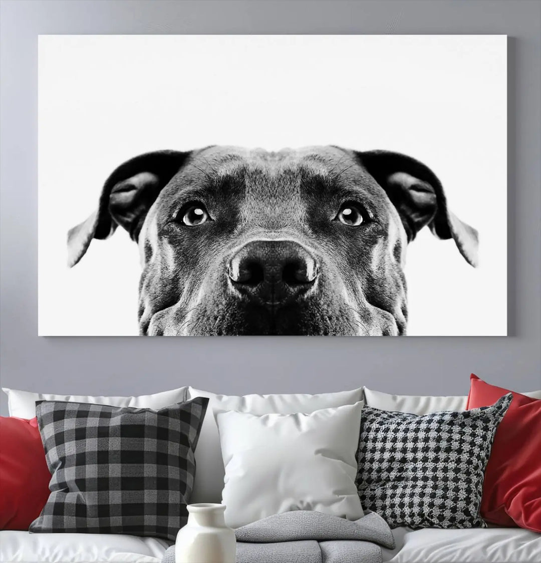 The "Black and White Pit Bull Dog Wall Art Canvas Print" elegantly adorns the living room, infusing character and charm into the contemporary setting. This captivating piece is perfect for dog lovers.