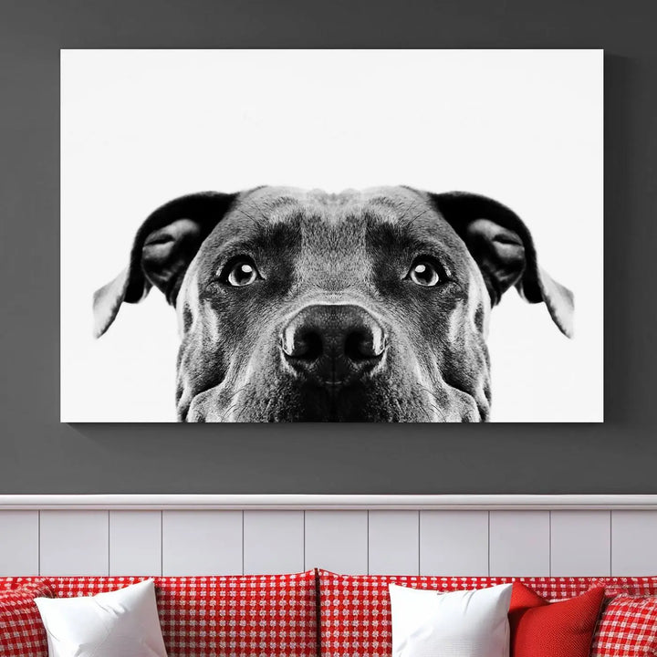 The "Black and White Pit Bull Dog Wall Art Canvas Print" elegantly adorns the living room, infusing character and charm into the contemporary setting. This captivating piece is perfect for dog lovers.