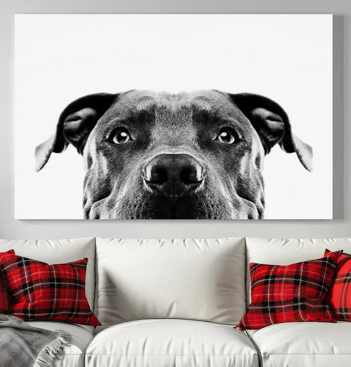 The "Black and White Pit Bull Dog Wall Art Canvas Print" elegantly adorns the living room, infusing character and charm into the contemporary setting. This captivating piece is perfect for dog lovers.