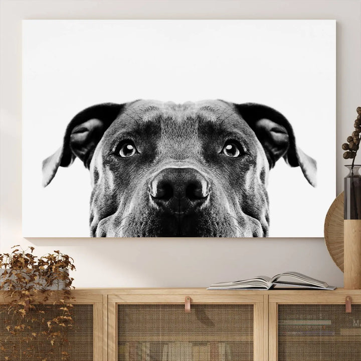 The "Black and White Pit Bull Dog Wall Art Canvas Print" elegantly adorns the living room, infusing character and charm into the contemporary setting. This captivating piece is perfect for dog lovers.