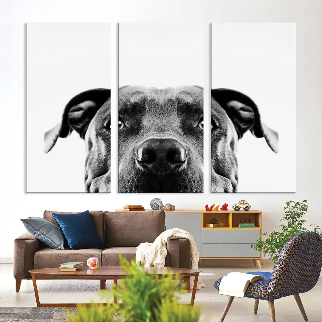 The "Black and White Pit Bull Dog Wall Art Canvas Print" elegantly adorns the living room, infusing character and charm into the contemporary setting. This captivating piece is perfect for dog lovers.