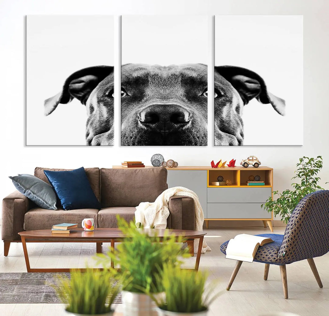 The "Black and White Pit Bull Dog Wall Art Canvas Print" elegantly adorns the living room, infusing character and charm into the contemporary setting. This captivating piece is perfect for dog lovers.