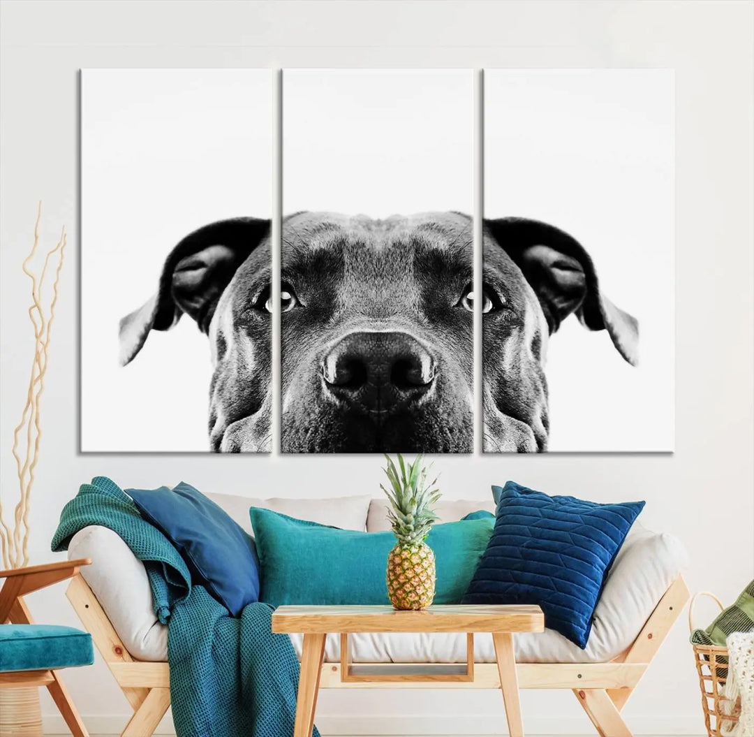 The "Black and White Pit Bull Dog Wall Art Canvas Print" elegantly adorns the living room, infusing character and charm into the contemporary setting. This captivating piece is perfect for dog lovers.