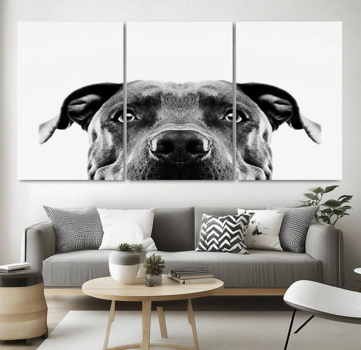 The "Black and White Pit Bull Dog Wall Art Canvas Print" elegantly adorns the living room, infusing character and charm into the contemporary setting. This captivating piece is perfect for dog lovers.