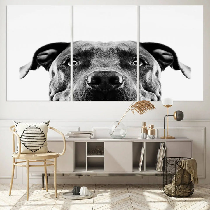 The "Black and White Pit Bull Dog Wall Art Canvas Print" elegantly adorns the living room, infusing character and charm into the contemporary setting. This captivating piece is perfect for dog lovers.