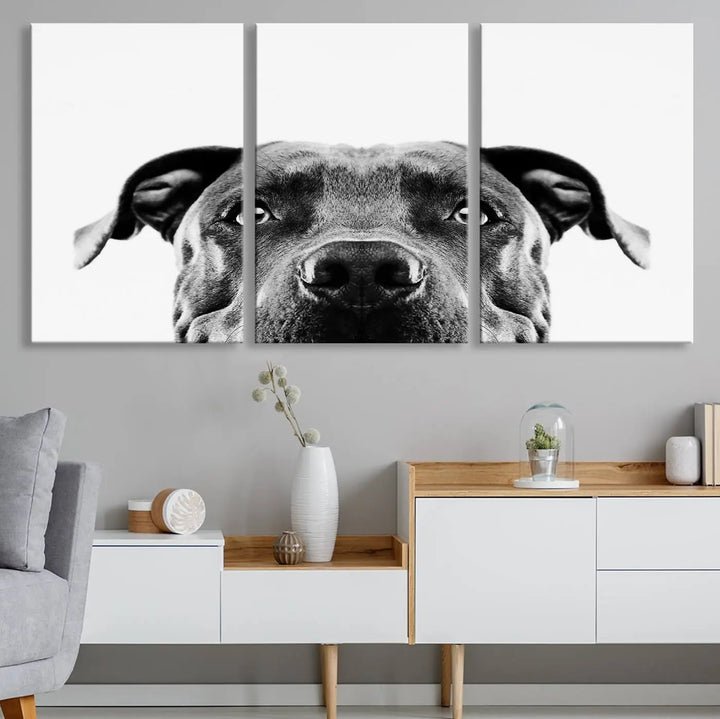 The "Black and White Pit Bull Dog Wall Art Canvas Print" elegantly adorns the living room, infusing character and charm into the contemporary setting. This captivating piece is perfect for dog lovers.