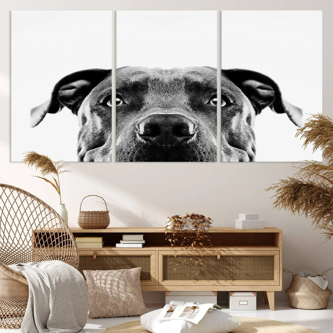 The "Black and White Pit Bull Dog Wall Art Canvas Print" elegantly adorns the living room, infusing character and charm into the contemporary setting. This captivating piece is perfect for dog lovers.