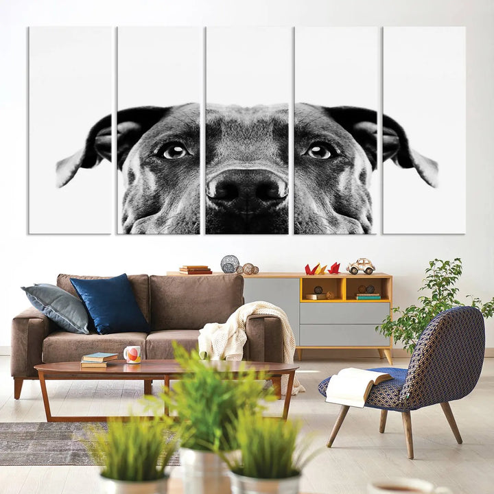 The "Black and White Pit Bull Dog Wall Art Canvas Print" elegantly adorns the living room, infusing character and charm into the contemporary setting. This captivating piece is perfect for dog lovers.