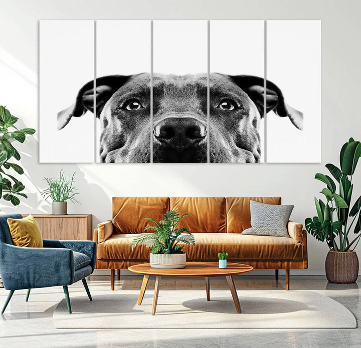 The "Black and White Pit Bull Dog Wall Art Canvas Print" elegantly adorns the living room, infusing character and charm into the contemporary setting. This captivating piece is perfect for dog lovers.