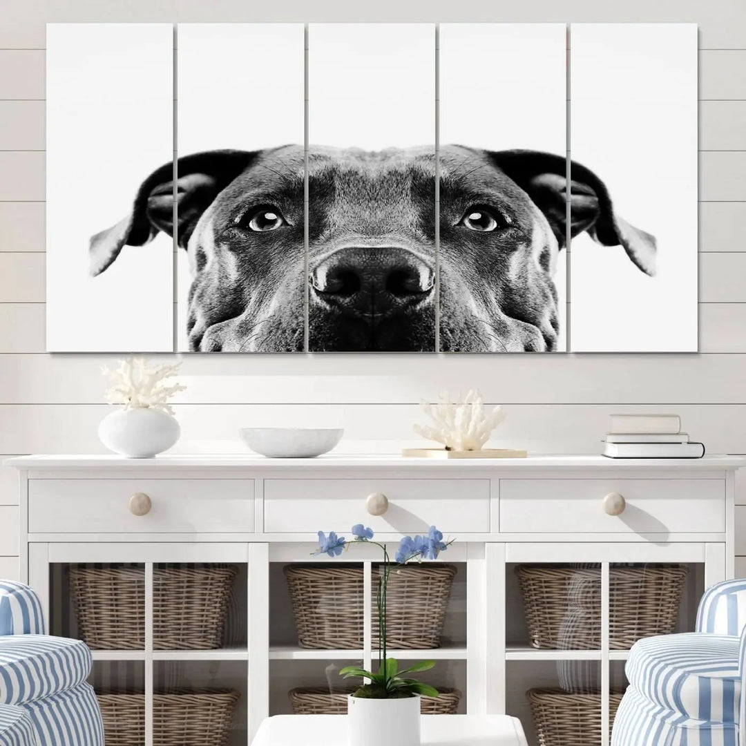 The "Black and White Pit Bull Dog Wall Art Canvas Print" elegantly adorns the living room, infusing character and charm into the contemporary setting. This captivating piece is perfect for dog lovers.