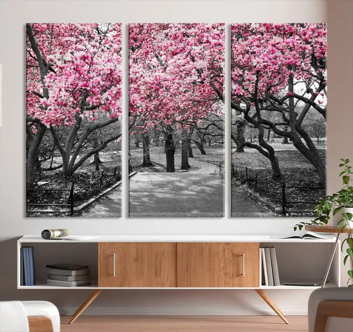 The "Blossom Cherry Trees and Leaves Wall Art Canvas Print" is a gallery-wrapped canvas that features a stunning depiction of a park path lined with pink blossoming trees in sepia tones. Its timeless beauty is preserved with a UV-protective coating.