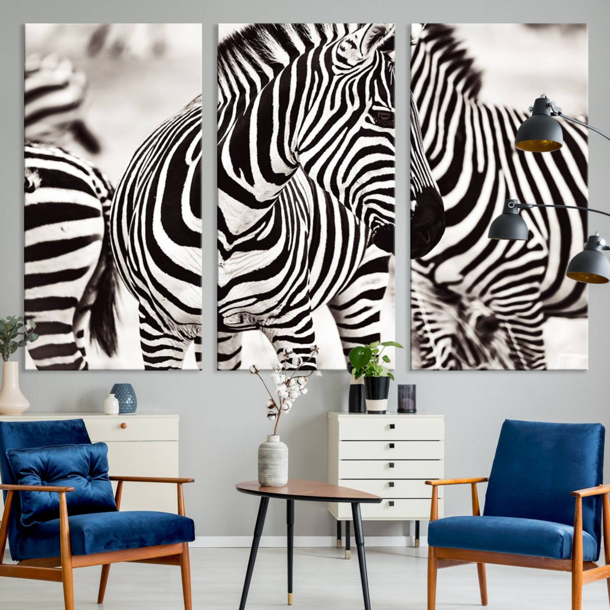 16897-MGV-CV-36X24-Brilliant Zebra Photography Art Canvas Print Black and White