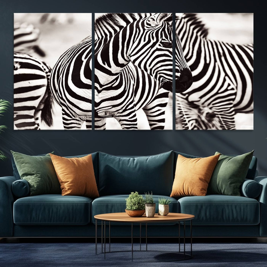Brilliant Zebra Photography Art Canvas Print Black and White
