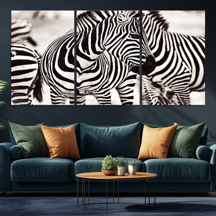 Brilliant Zebra Photography Art Canvas Print Black and White
