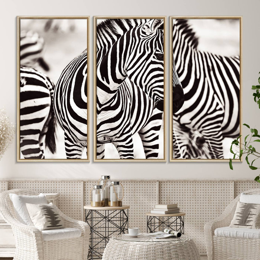 16897-MGV-CV-36X24-Brilliant Zebra Photography Art Canvas Print Black and White