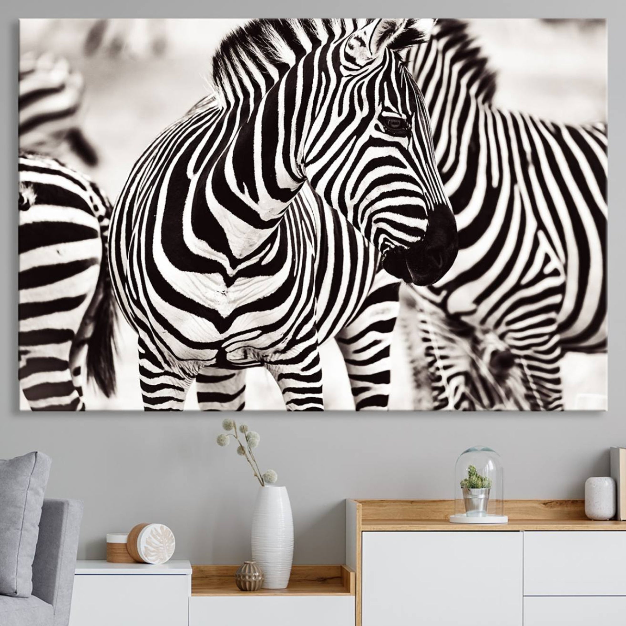 16897-MGV-CV-36X24-Brilliant Zebra Photography Art Canvas Print Black and White