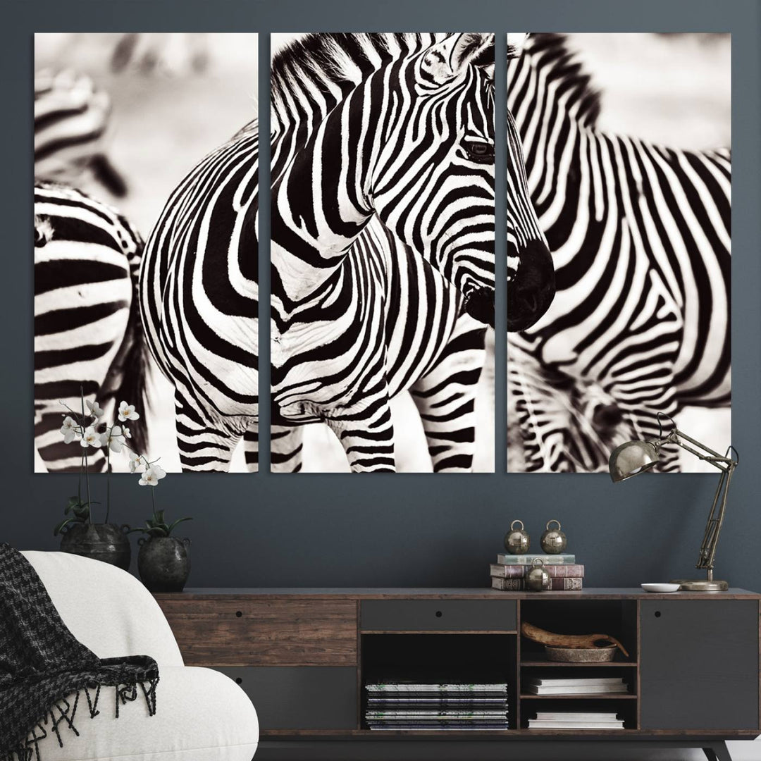 Brilliant Zebra Photography Art Canvas Print Black and White