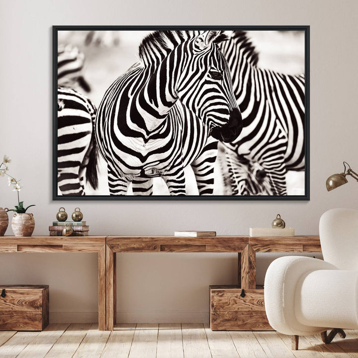 16897-MGV-FC-36X24_Black-Brilliant Zebra Photography Art Canvas Print Black and White
