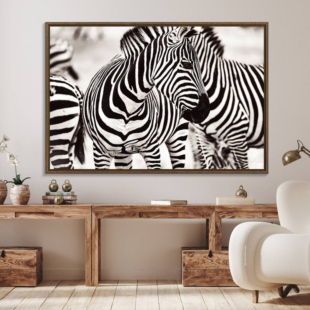 Brilliant Zebra Photography Art Canvas Print Black and White